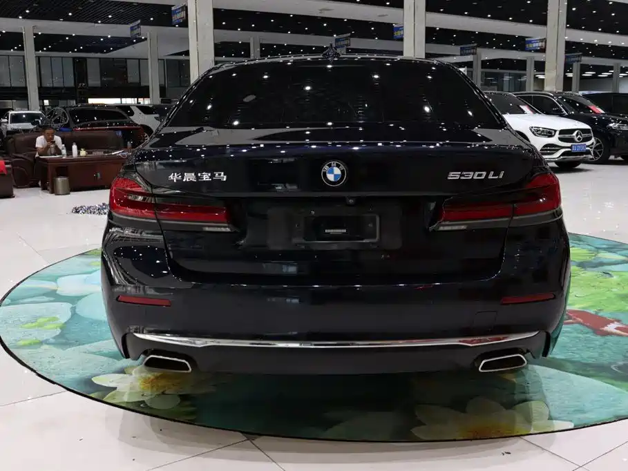 BMW 5 Series — миниатюра 5