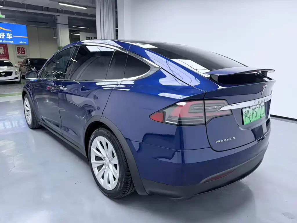 Tesla Model X — миниатюра 9
