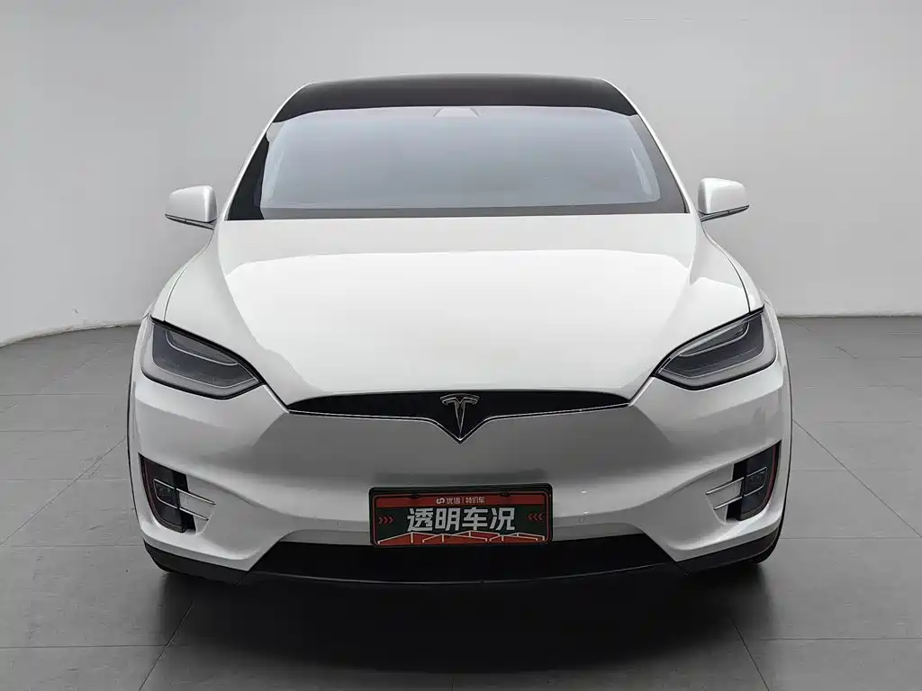Tesla Model X — миниатюра 3
