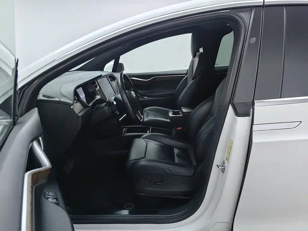 Tesla Model X — миниатюра 10