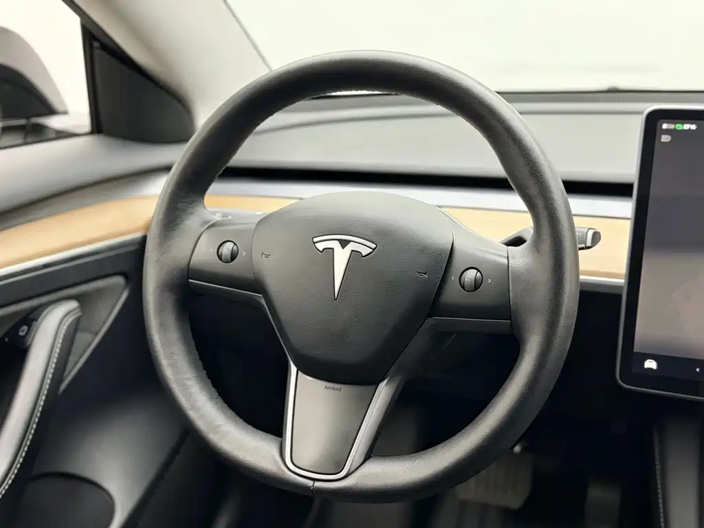 Tesla Model 3 — миниатюра 11