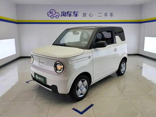 2024 Geely LC (Panda)