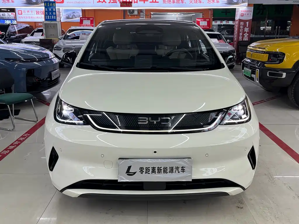 BYD Dolphin — миниатюра 2