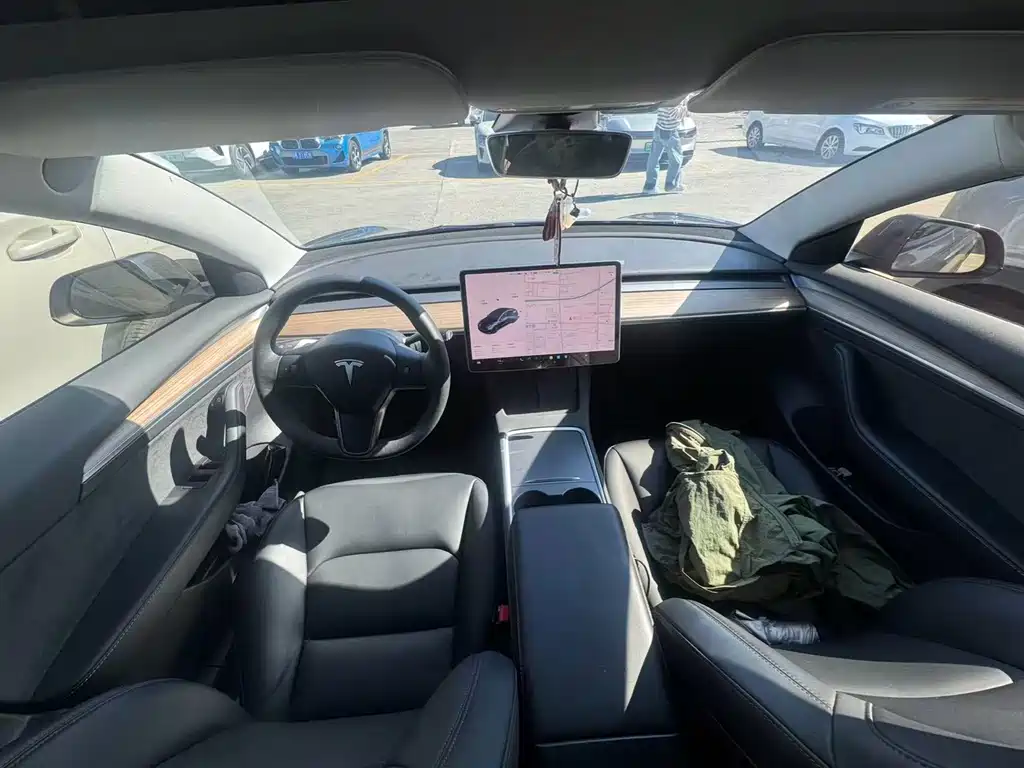 Tesla Model 3 — миниатюра 5