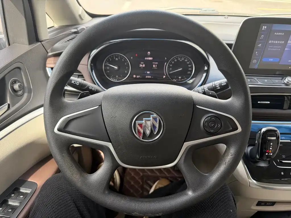 Buick GL8 — миниатюра 6