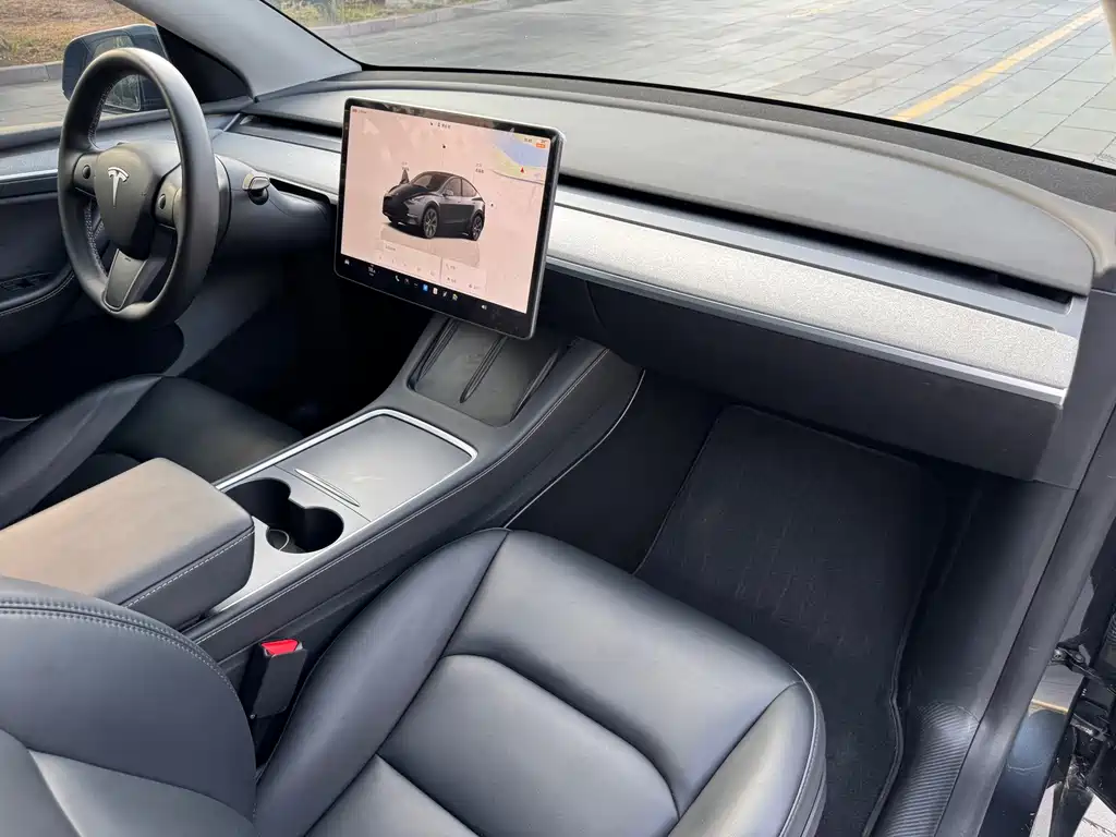 Tesla Model Y — миниатюра 18