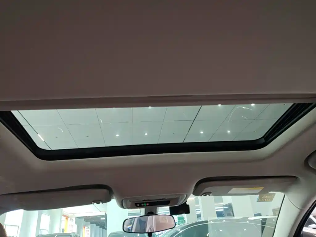 Buick Regal — миниатюра 18