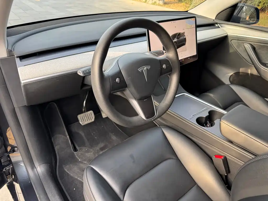 Tesla Model Y — миниатюра 8