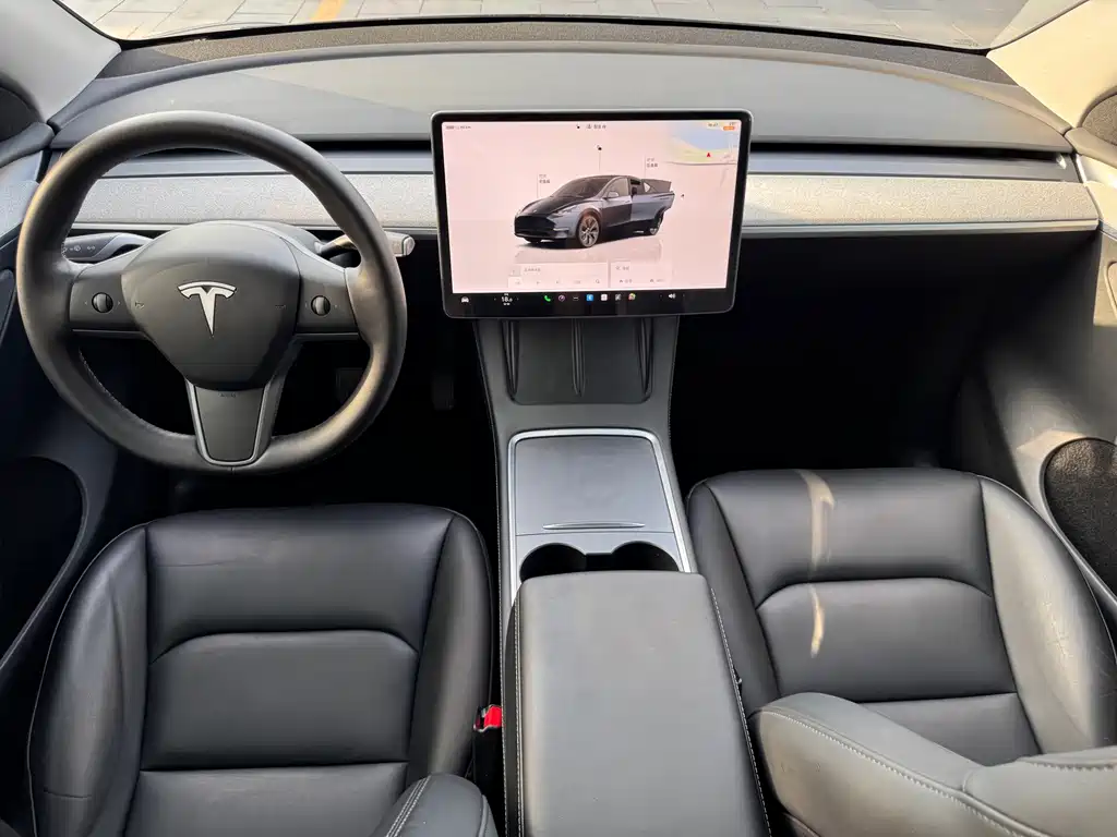 Tesla Model Y — миниатюра 13