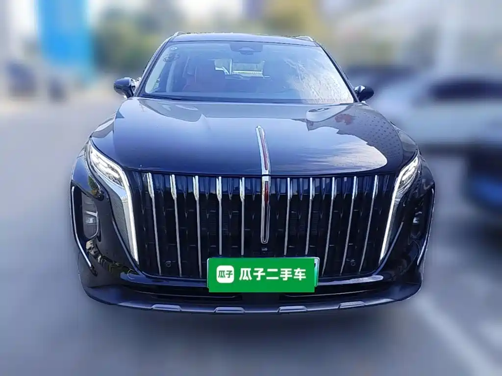 Hongqi Hongqi HS7 PHEV — миниатюра 5
