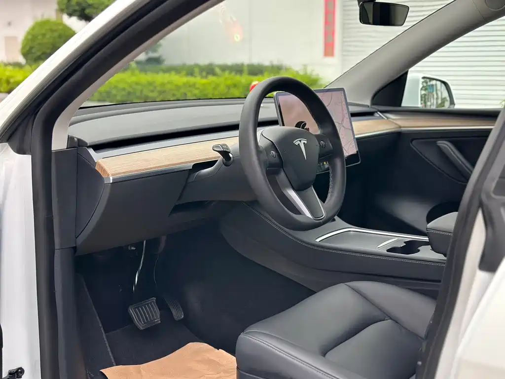 Tesla Model Y — миниатюра 10