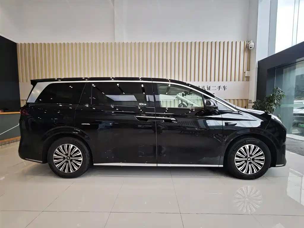 BYD Xia 2025 DM-i 1.5T 180km