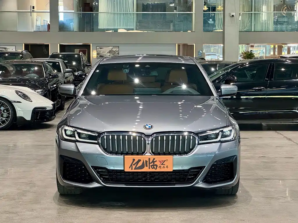 BMW 5 Series (Import) — миниатюра 2