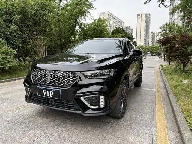 WEI PAI WEI BRAND VV5 2020