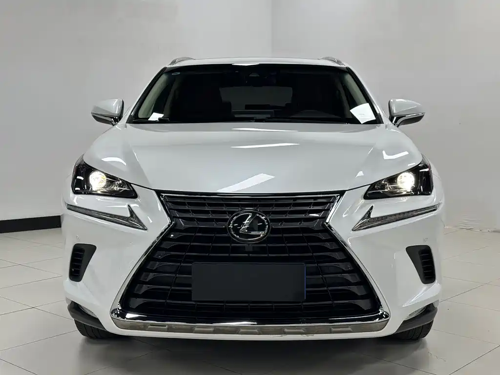 Lexus NX — миниатюра 2