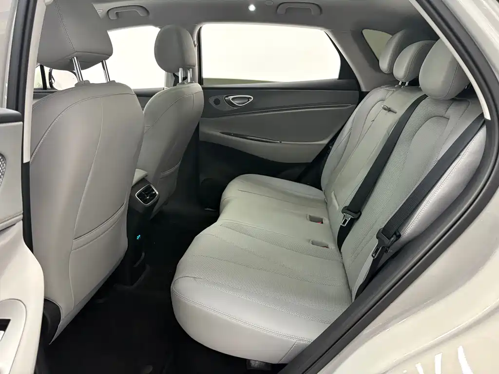 BYD Sealion 06 — миниатюра 8