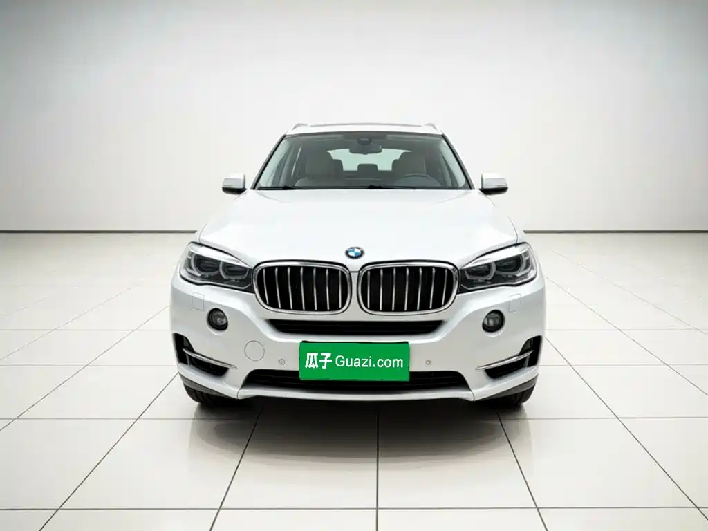 BMW X5 (Import) — миниатюра 2