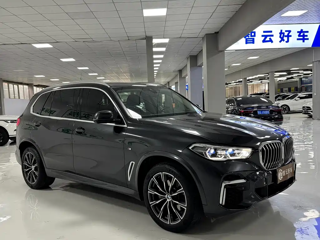 BMW X5 — миниатюра 3