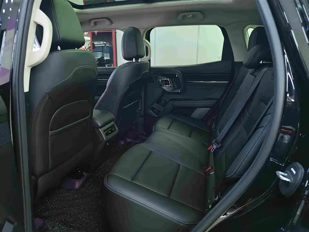 Haval Big Dog PLUS New Energy — миниатюра 5