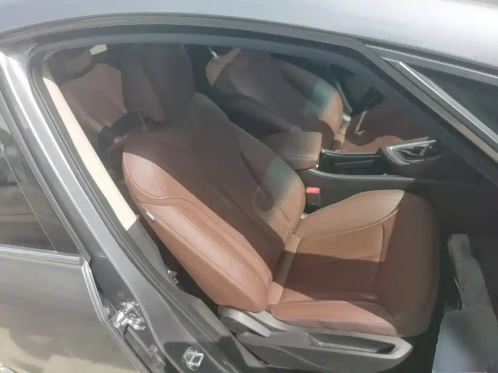 Buick GL6 — миниатюра 25