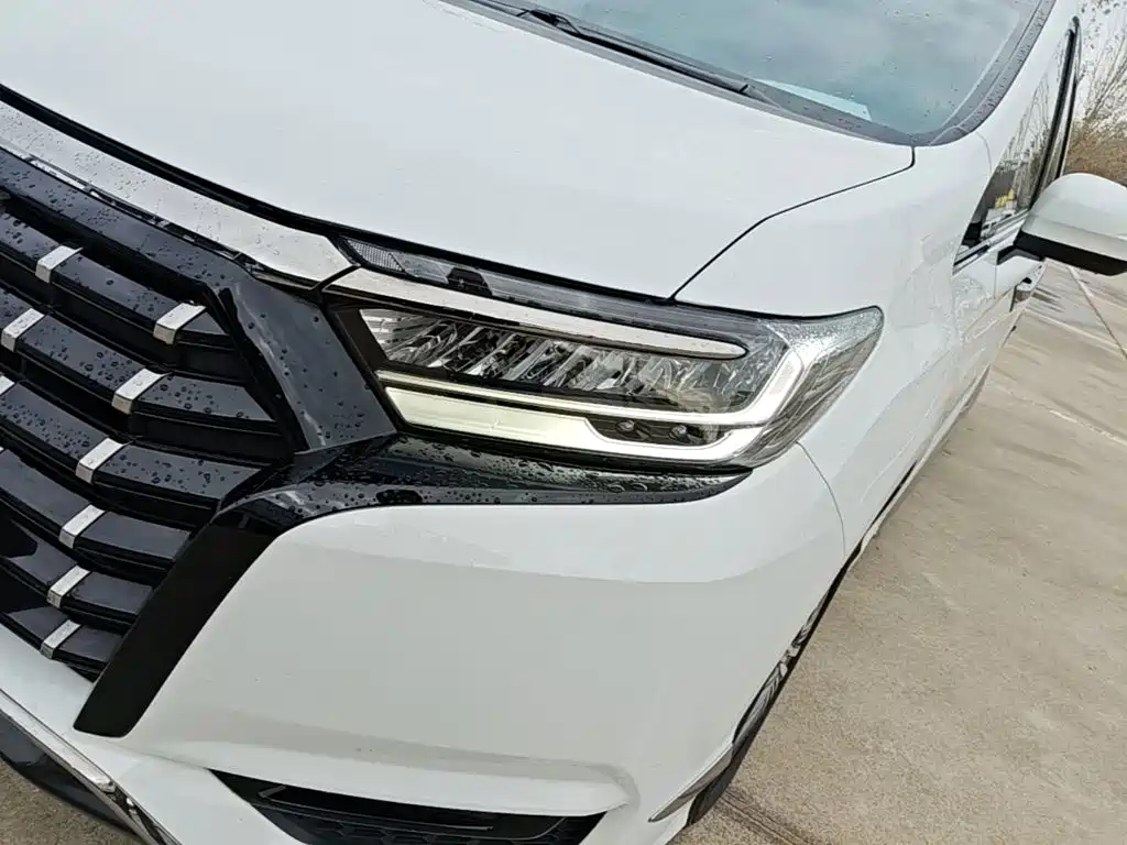 Honda Elysion — миниатюра 24