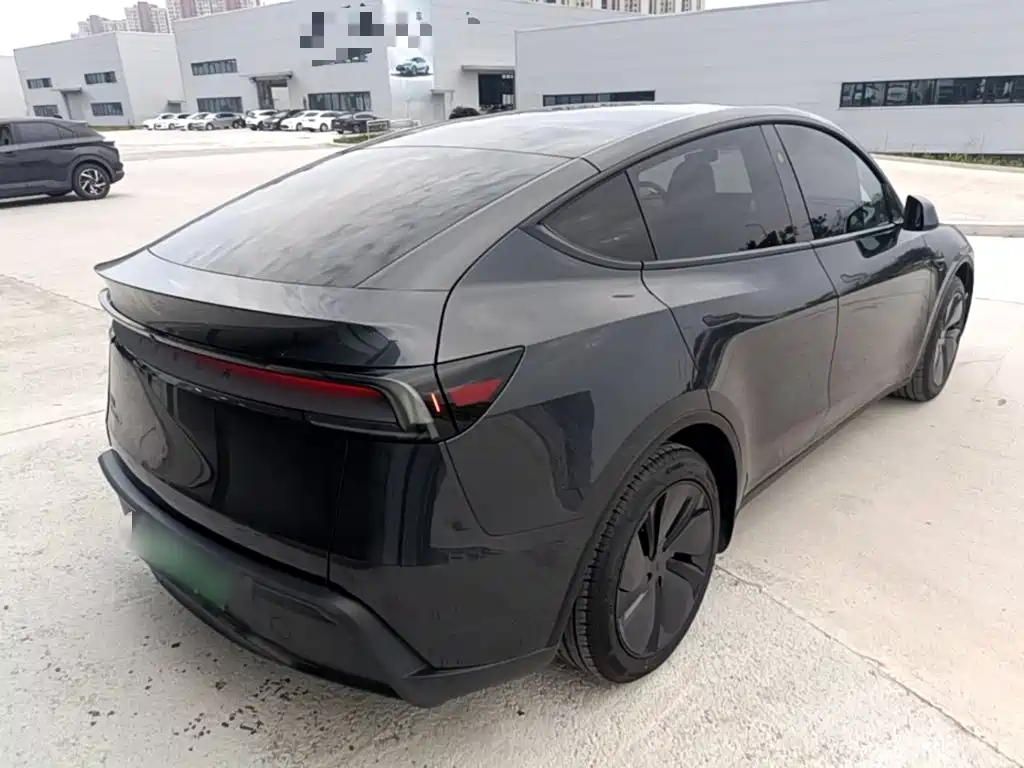 Tesla Model Y — миниатюра 7
