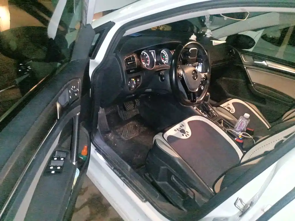 Volkswagen Golf — миниатюра 14