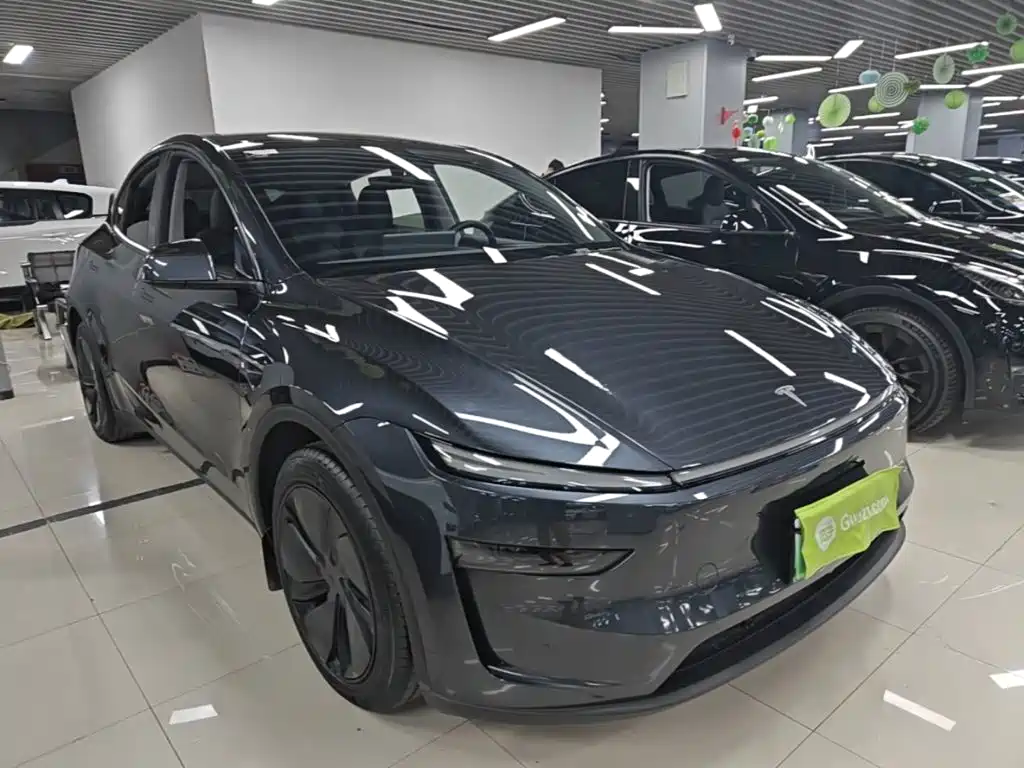 Tesla Model Y — миниатюра 4