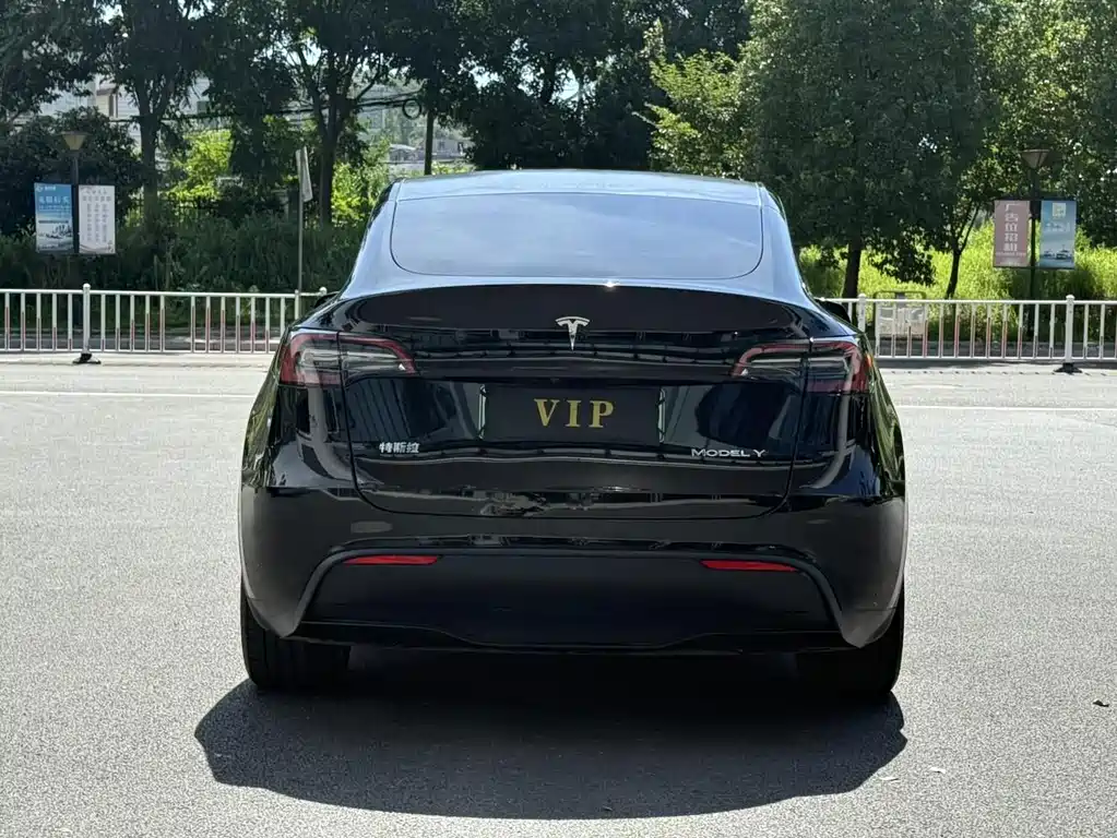 Tesla Model Y — миниатюра 7