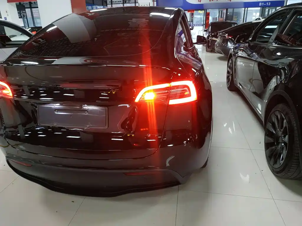 Tesla Model Y — миниатюра 8