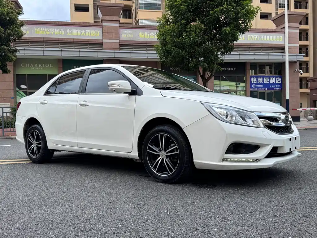 BYD Surui — миниатюра 3