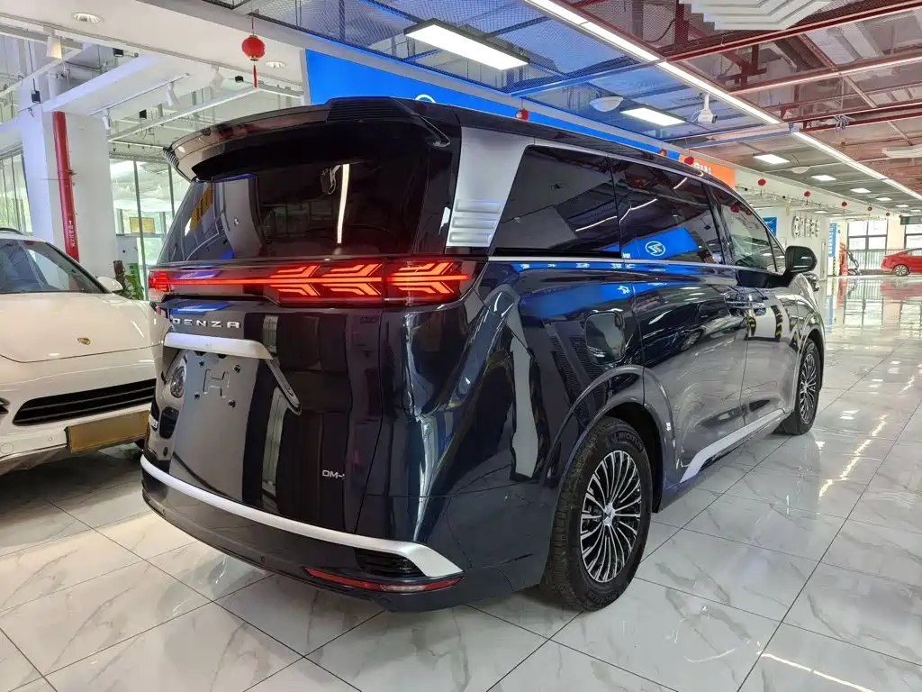 Denza Denza D9 — миниатюра 7