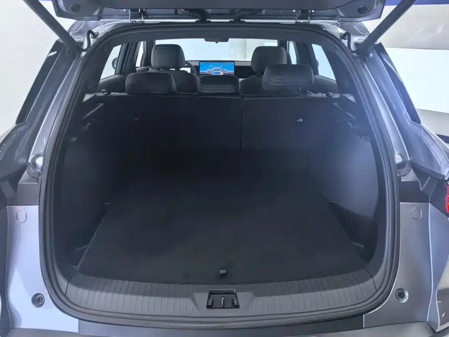 BYD Pro New Energy — миниатюра 4