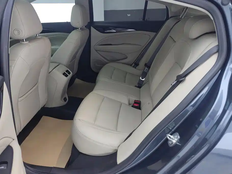 Buick Regal — миниатюра 11