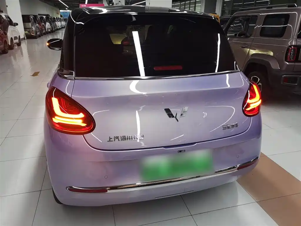 Wuling Binguo 2025 333km Enjoy