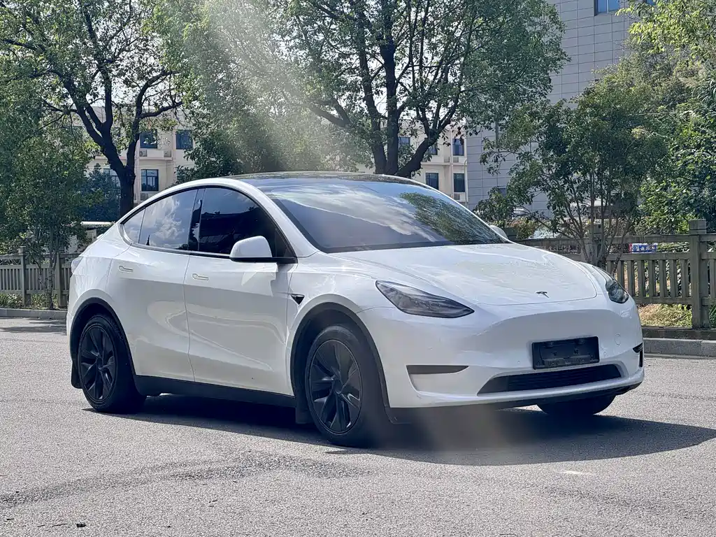 Tesla Model Y — миниатюра 2