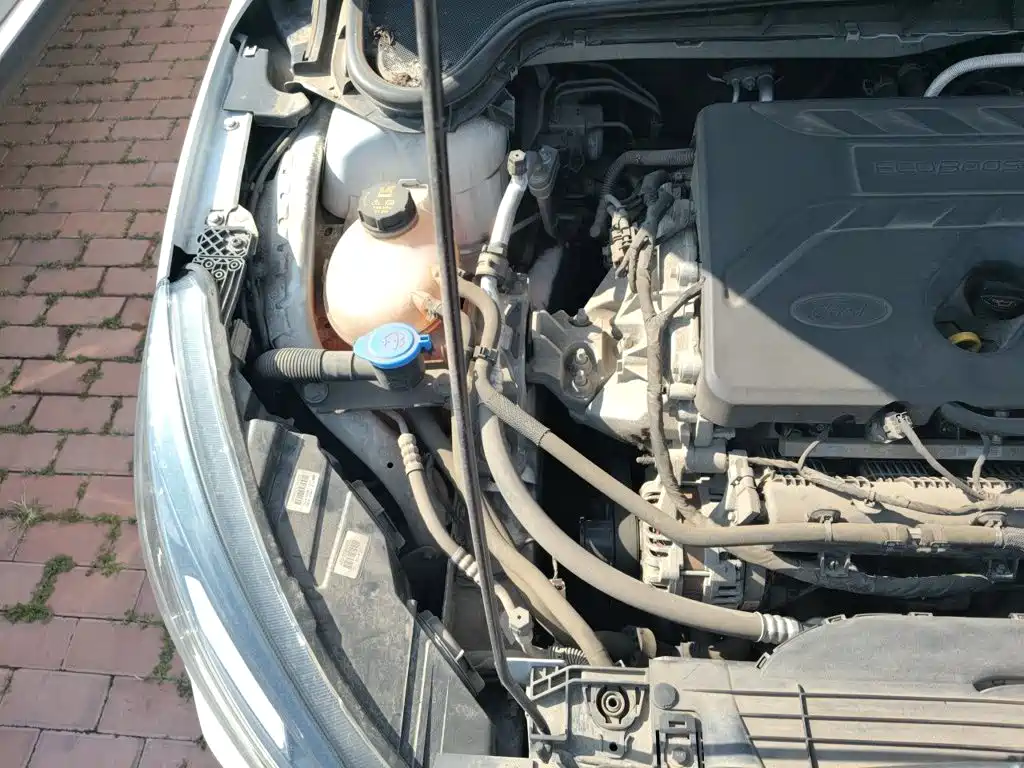 Ford Focus Active — миниатюра 20