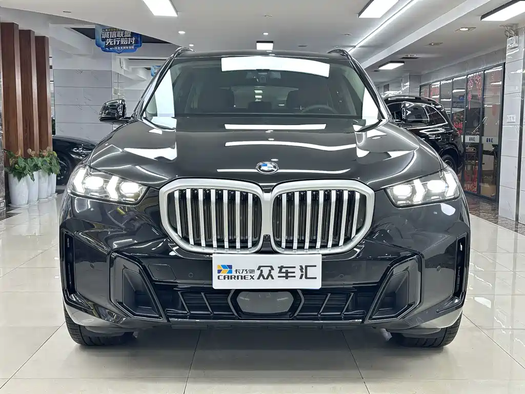 BMW X5 — миниатюра 2
