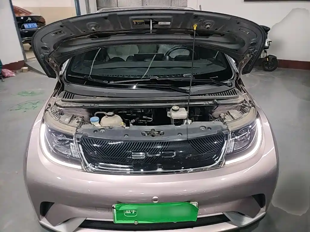 BYD Dolphin — миниатюра 20