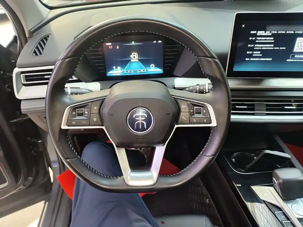 BYD Pro — миниатюра 11