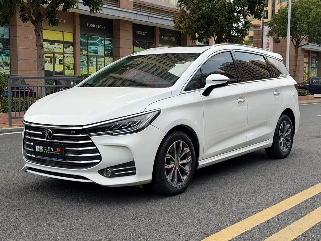 Byd MAX 2019
