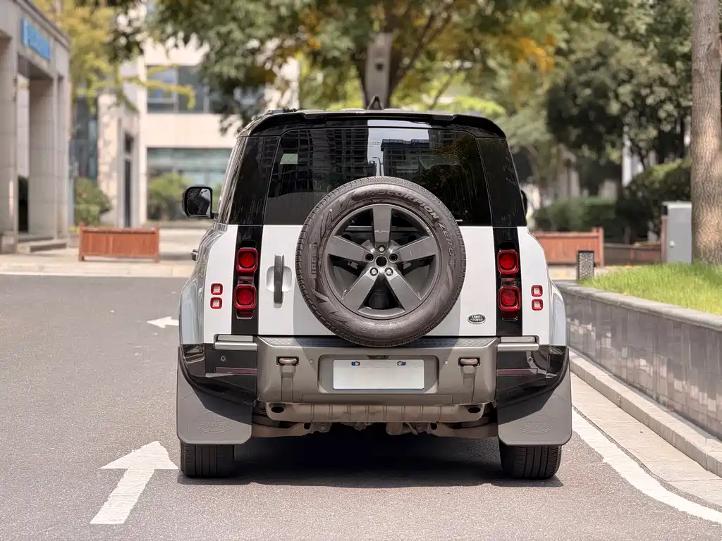 Land Rover Defender — миниатюра 18