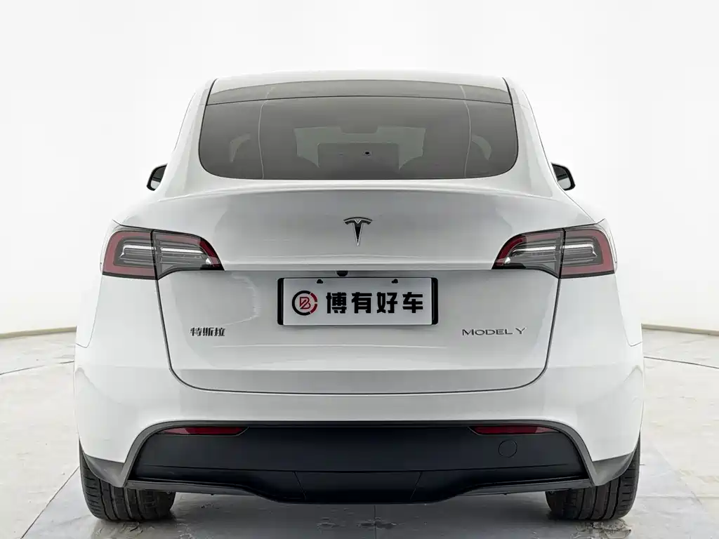 Tesla Model Y — миниатюра 14