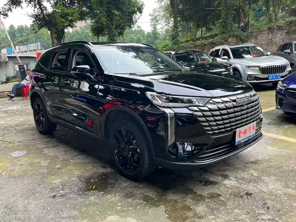 Haval H6 2024 2.0T Max