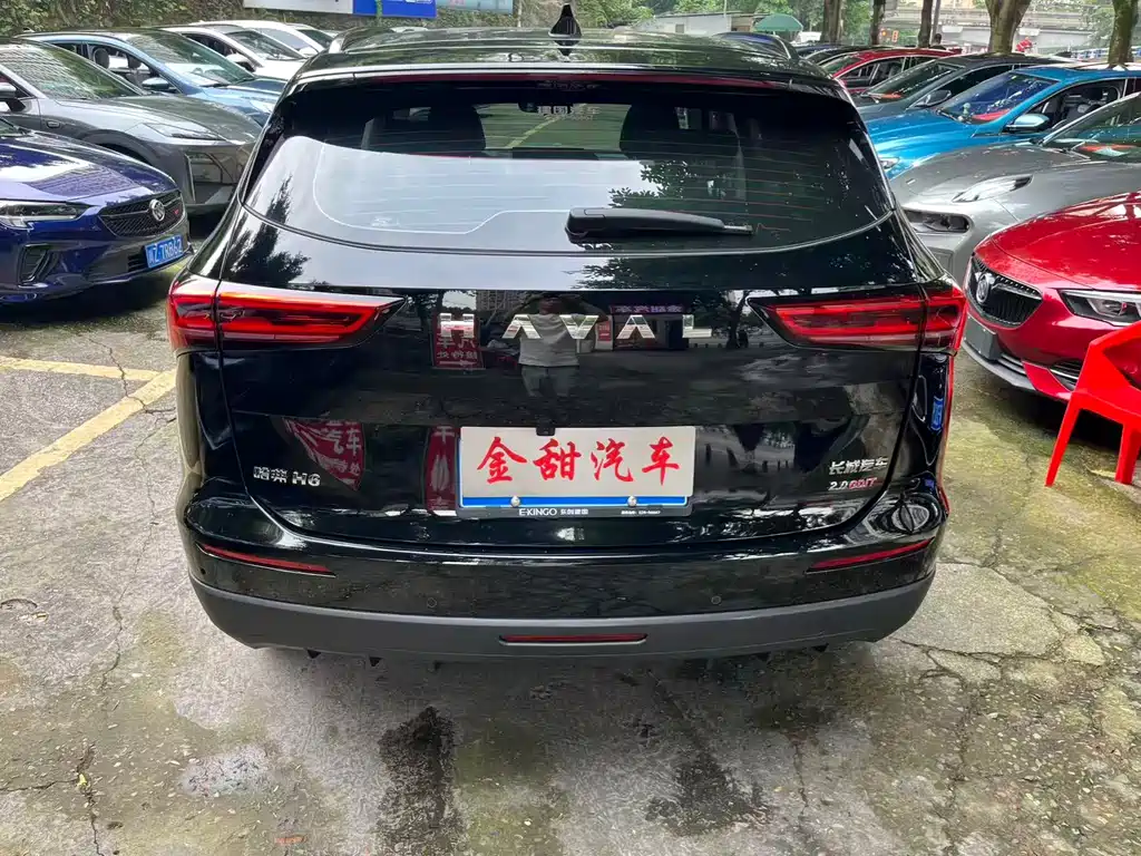 Haval H6 2024 2.0T Max
