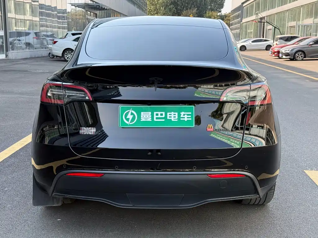 Tesla Model Y — миниатюра 5