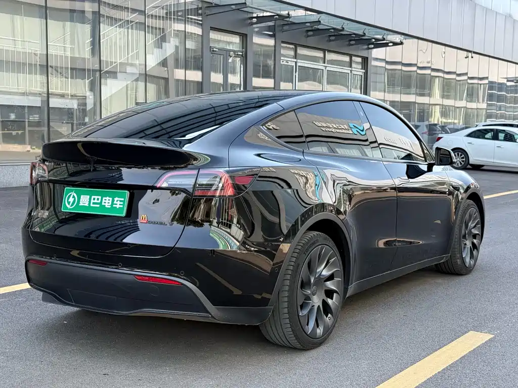 Tesla Model Y — миниатюра 6