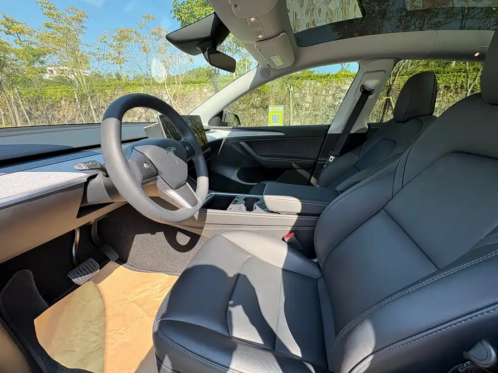 Tesla Model Y — миниатюра 4