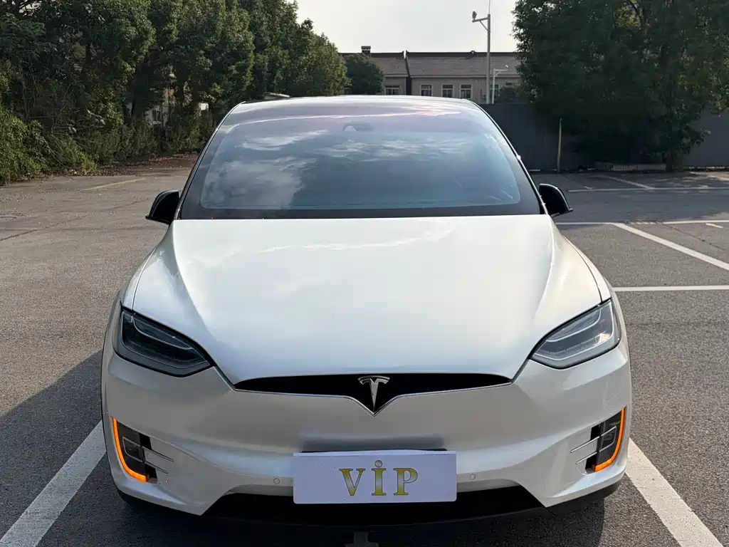 Tesla Model X — миниатюра 10