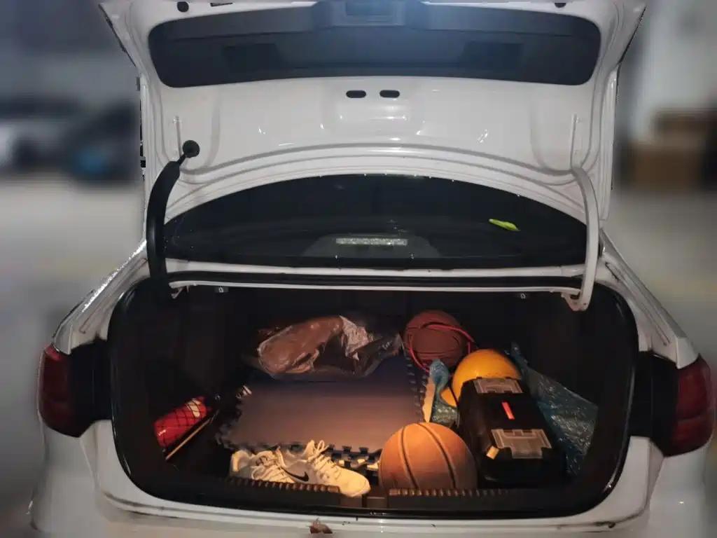 Volkswagen Sagitar — миниатюра 20